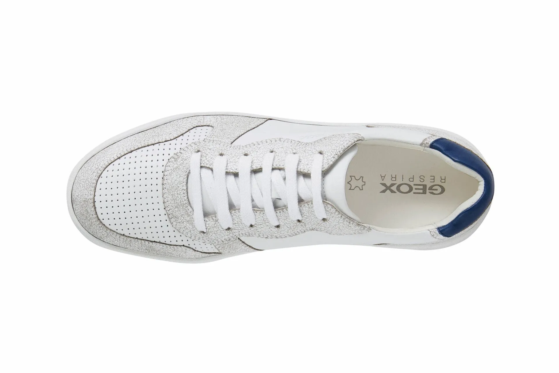 Geox uomo sneakers Magnete in pelle